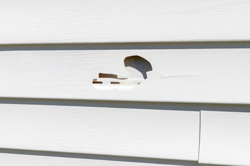 Sealing and Reinforcing Siding